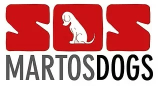 Wer steckt hinter MARTOSDOGS